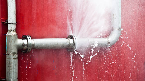 Best Flooded house restoration  in Allentown, NJ